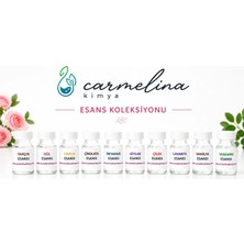 Carmelina 10 Esans Seti En Popiler 10 Mum Kokusu