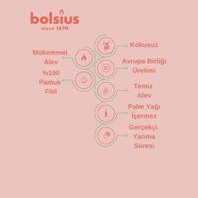 DMR Home Bolsius Yeşil Limon Renkli Konik Şamdan Yemek Mumu 7,5 Saat Yanma Süreli 24,5 cm (12 Adet - 1 Kutu)