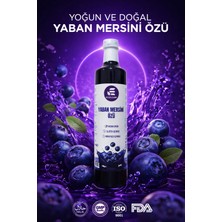 Eylülzade Yabanmersini Özü 700 gr