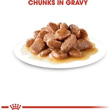Expresstore Canin Instinctive Gravy Pouch Yaş Kedi Maması 85 gr x 12 Adet