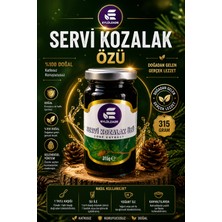 Eylülzade Servi Kozalak Özü 315 gr