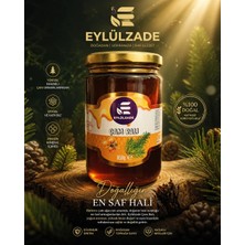 Eylülzade  Doğal Çam Balı (800 Gram)