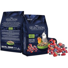 Expresstore 10 Çeşit Gerçek Meyve Parçalı Paraket Yemi 1kg