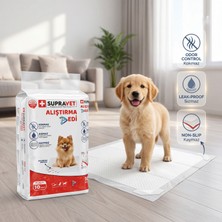 Supravet Alıştırma Pedi 10 'lu 60*90