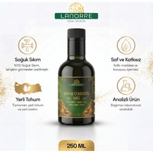 Lanorre %100 Soğuk Sıkım Analizli Yerli Tohum Kabak Çekirdeği Yağı 250ML %100 Saf ve Doğal