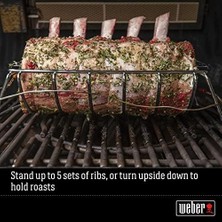 Expresstore 6469 Original Rib And Roast Holder