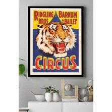 DMR Home (PSTER15605) Circus Kanvas Tablo 40 x 60