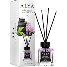 DMR Home Alya Alya 's Scents Spa Bambu Çubuklu Oda Kokusu