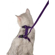 Expresstore 110 cm Vücuda Takılan Kedi Tasması, Konforlu ve Ayarlanabilir Tasarım, Güvenli Yürüyüşler Için Ideal, Dayanıklı ve Şık Kedi Harness,göğüs Tasması