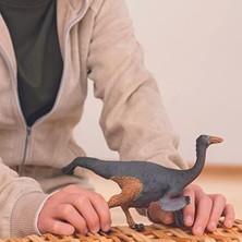 Expresstore Schleıch Gallimimus Oyuncak