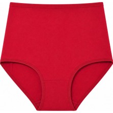 Hepsine Rakip Kadın Büyük Beden Bikini Yüksek Bel Pamuklu Külot Ekonomik