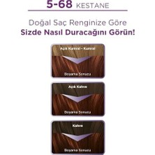 Expresstore Yoğun Göz Alıcı Renkler Saç Boyası 5-68 Kestane Saç Boyası