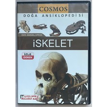 D Yapım Cosmos Doğa Ansiklopedisi Iskelet  DVD
