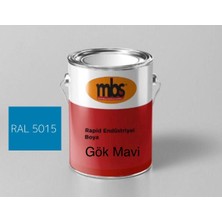 Mbs Kimya Endüstriyel Rapid Boya RAL5015