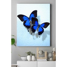 Expresstore (PSTER16575) Kelebek Hayvan Kanvas Tablo 50 x 70