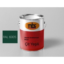 Mbs Kimya Endüstriyel Rapid Boya RAL6005 Çit Yeşili