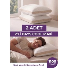 Days In Colours 2 Adet Maxi Klimalı Silikon Yastık - Daycool Serisi - 2 x 1100 Gram Maxi Klimalı Kapitone Silikon Yastık