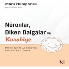 Vintessy Nöronlar, Diken Daalar ve Kurabiye