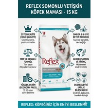 Reflex Somonlu Yetişkin Somonlu Köpek Maması 15KG
