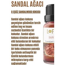 Assess Store Lofty Sandal Ağacı Saf Uçucu Yağ (10ML) -%100 Doğal Esansiyel Yağ | Uyku, Rahatlama ve Aromaterapi Için Buhurdanlık ve Difüzör Yağı
