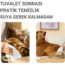 Assess Store Greenwich Doğal Içerikli Kedi ve Köpek Temizleme Mendilleri, Thuja Orientalis, 13X13X6,5 Cm, 50'li Paket