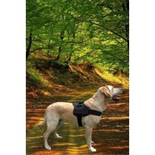 Assess Store Bypet Köpek Göğüs Tasması Büyük Irk Köpek Tasması Dog Police K9 Tasma