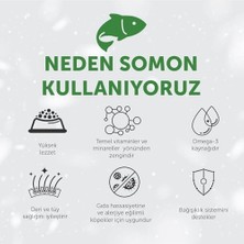 Assess Store 's Protection Care Beyaz Tüylü Köpekler Için Tahılsız Somonlu Tüm Irklar Yavru Köpek Maması 1.5kg