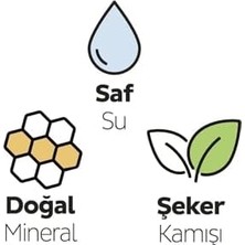 Assess Store Bio Natural Premium Plus Günlük Ped Normal 80 Adet Ped