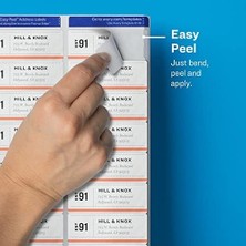 Assess Store Mat Buzlu Şeffaf Etiket Lazer Yazıcı Için, 1" x 2-5/8", 300 Etiket (15660)