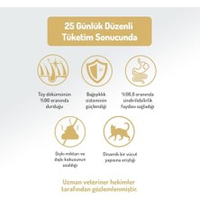 Assess Store Felicia 5 kg Kolajenli Somonlu Az Tahıllı Yetişkin Kedi Maması Hypoallergenic Kedi Maması