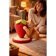 Assess Store Kedi Tırmalama Oyuncağı Meyve Temalı 23 cm Jüt Halat Doğal Tırmalama Topu Kaymaz Tabanlı Dayanıklı Kedi Oyuncağı Evcil Hayvan Aktivite Ürünü (Çilek)