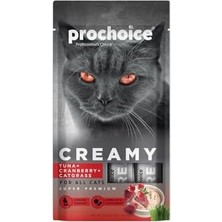 Assess Store Prochoice Creamy Kediler Için Balığı, Kızılcık ve Kedi Otlu Sıvı Ödül Maması 4X15 gr
