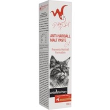 Assess Store Malt Paste 100 gr (Kediler Için Tüy Yumağı Önleyici Malt Macunu)