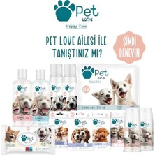 Assess Store Pet Köpük Şampuan, Kurabiye & Vanilya, 225 Mililitre