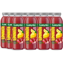 Kuzeyden Narlı Limonata | 12X250ML | Ilave Şeker, Katkı ve Koruyucu Madde Içermez | 12 Adet | %100 Meyve