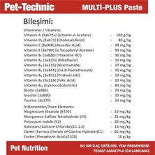 Assess Store Multi Plus Paste – Kedi ve Köpekler Için Günlük Multivitamin ve Mineral Destekli Takviye Macunu – 100G