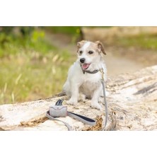 Assess Store Köpek Dışkı Toplama Poşeti Taşıma Çantası, Gri, 8X5X5CM