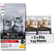 Assess Store Pro Plan Original Kitten Tavuklu Kuru Kedi Maması, 1.5 kg + Pro Plan Pouch Hindili Yavru Kedi Konservesi 85GR x 2 Adet