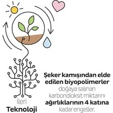 Assess Store Bio Natural Premium Plus Günlük Ped Normal 6X40=240 Adet Ped