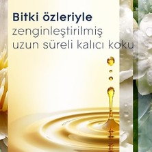 Assess Store Glade Elektrikli Oda Kokusu Yedek, Çiçekleri