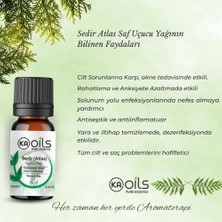 Assess Store Sedir Ağacı Uçucu Yağı 10 ml | Cedarwood Atlas Oil | Odunsu Kokusu ile Rahatlatıcı | Aromaterapi ve Difüzör Için Saf Yağ