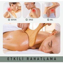 Assess Store 6'lı Medikal Ahşap Maderoterapi Masaj Seti Vücut Şekillendirme & Derin Masaj Fasya Masajı Lenfatik Drenaj Seti