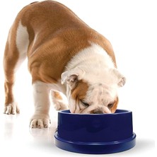 Assess Store K&h 772550 Evcil Hayvan, Köpekler ve Kediler Için Serinletici Içecek Kabı - 2,7 Litre