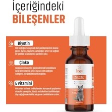Assess Store Kedi Tüy Dökülme Önleyici Multivitamin Damla, Tüy Bakımı, 50ML