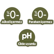 Assess Store Pamuk Zeytin Cep Mendili 12X3X15 (540 Yaprak) (3 Paketi)