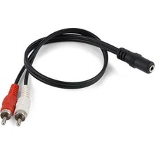 Assess Store 2348 40 cm 3.5mm To 2rca Tos Çevirici Dönüştürücü Kablosu