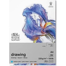 Assess Store & Newton 6689747 Çizim Kağıdı, Doğal Beyaz, Dın A4