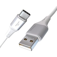 Assess Store Wahoo USB A-C 3.1A Hızlı Şarj Kablosu, Beyaz/gümüş Metal (100 Cm)