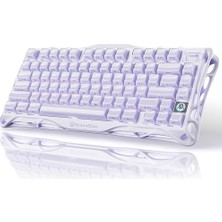 Assess Store Mercury V75 He Klavye - Manyetik Anahtarlı Oyun Klavyesi, 8000 Hz Yoklama, 0.005RT, Kablolu Usb-C, Rgb Arkadan Aydınlatmalı, Ayarlanabilir Çalıştırma, Yarı Alüminyum Kasa - Lavanta Moru