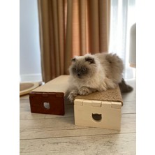 Kedi Tırmalamasehpası- Dinlenme Alanı-Oyun Alanı